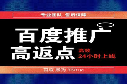 百度推广运营策略案例：品牌提升的捷径